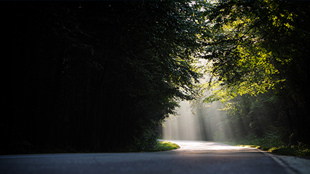 Unlocking a New Chapter: Luxon Visual Dongjiang Intelligent Manufacturing Centre is now in full...