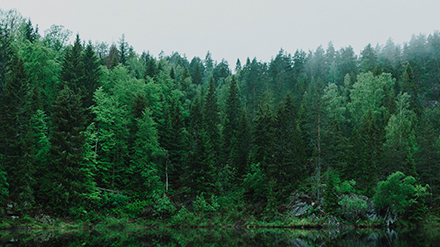 LED leader Luxon Visual retains Out of Home Capital in global advisory role